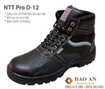 Giày bảo hộ NTT Pro D-12